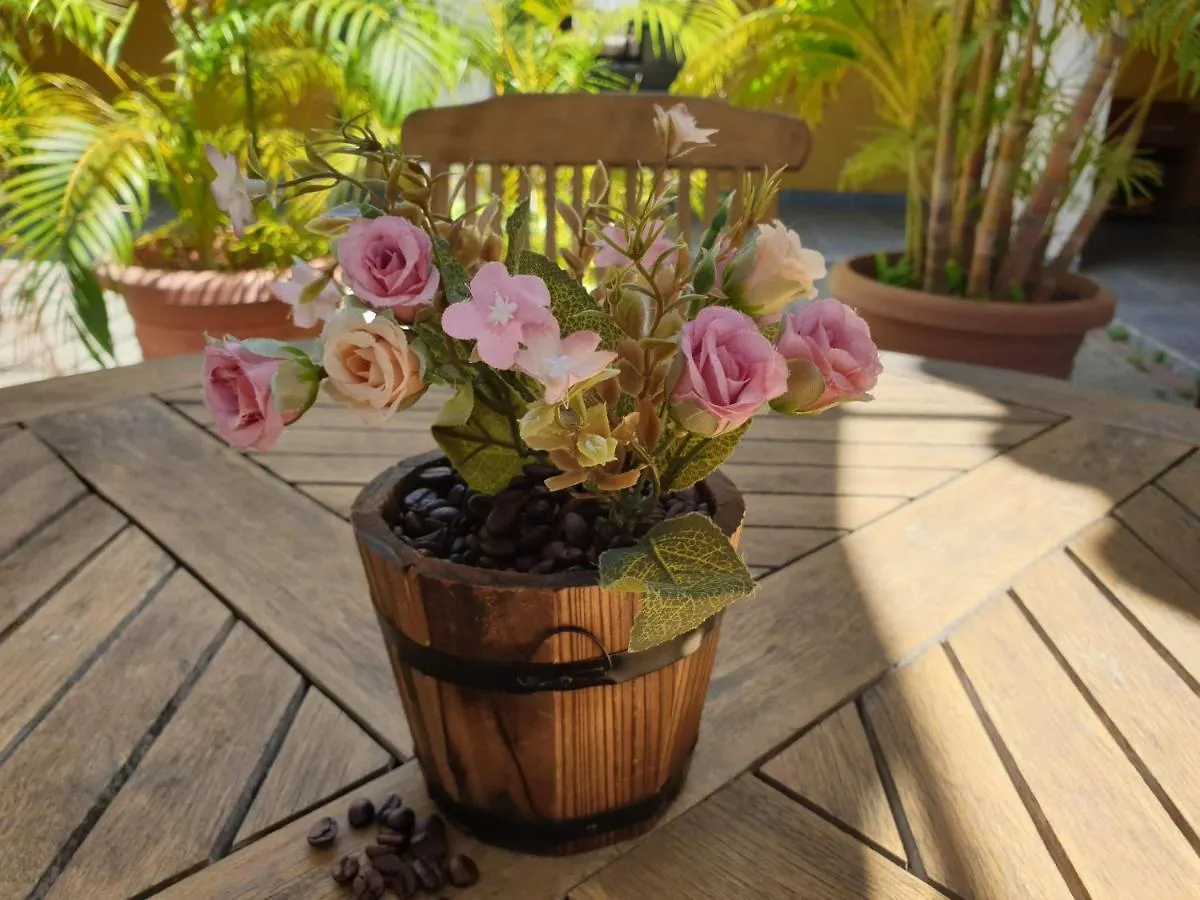*** Bed & Breakfast Bed And Breakfast Toni Kunchi Willemstad Curacao